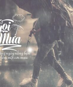 Font SVN Việt hóa