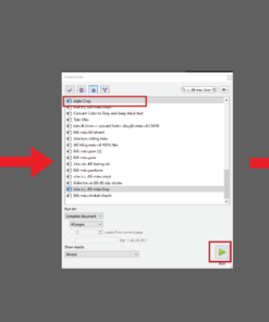 Action Auto Crop -Thực hiện bởi Duy-